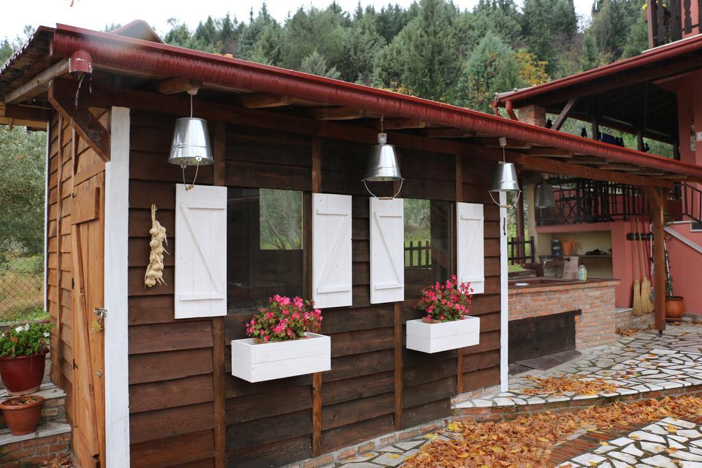 Traditional Guesthouse Tríkala Zewnętrze zdjęcie