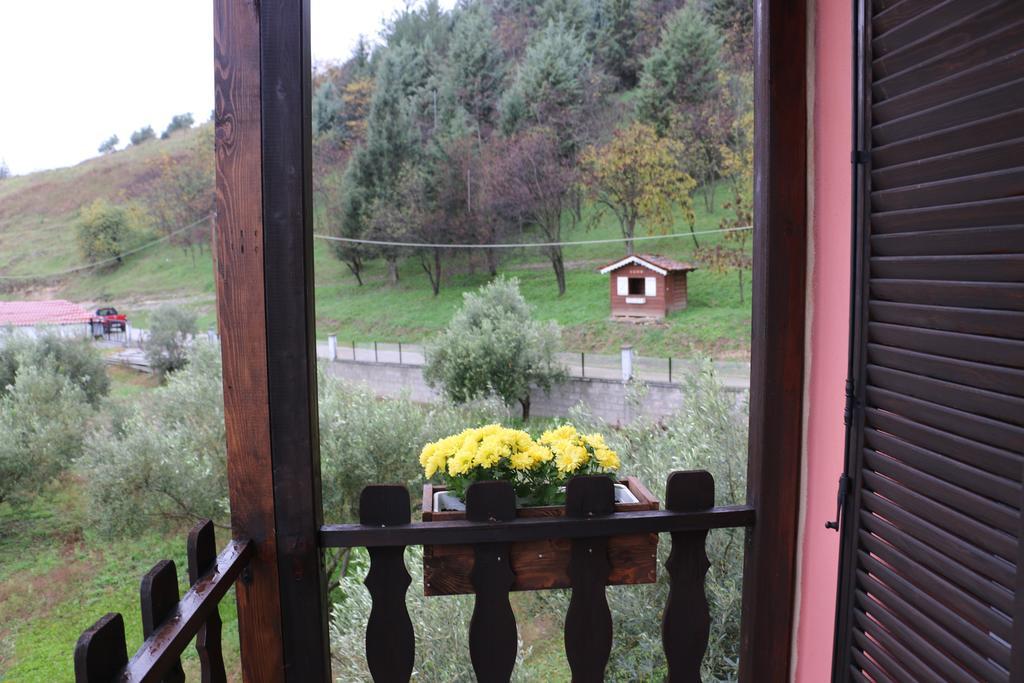 Traditional Guesthouse Tríkala Zewnętrze zdjęcie