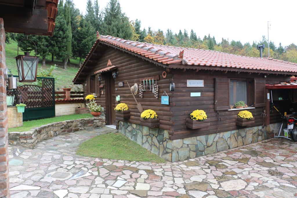 Traditional Guesthouse Tríkala Zewnętrze zdjęcie