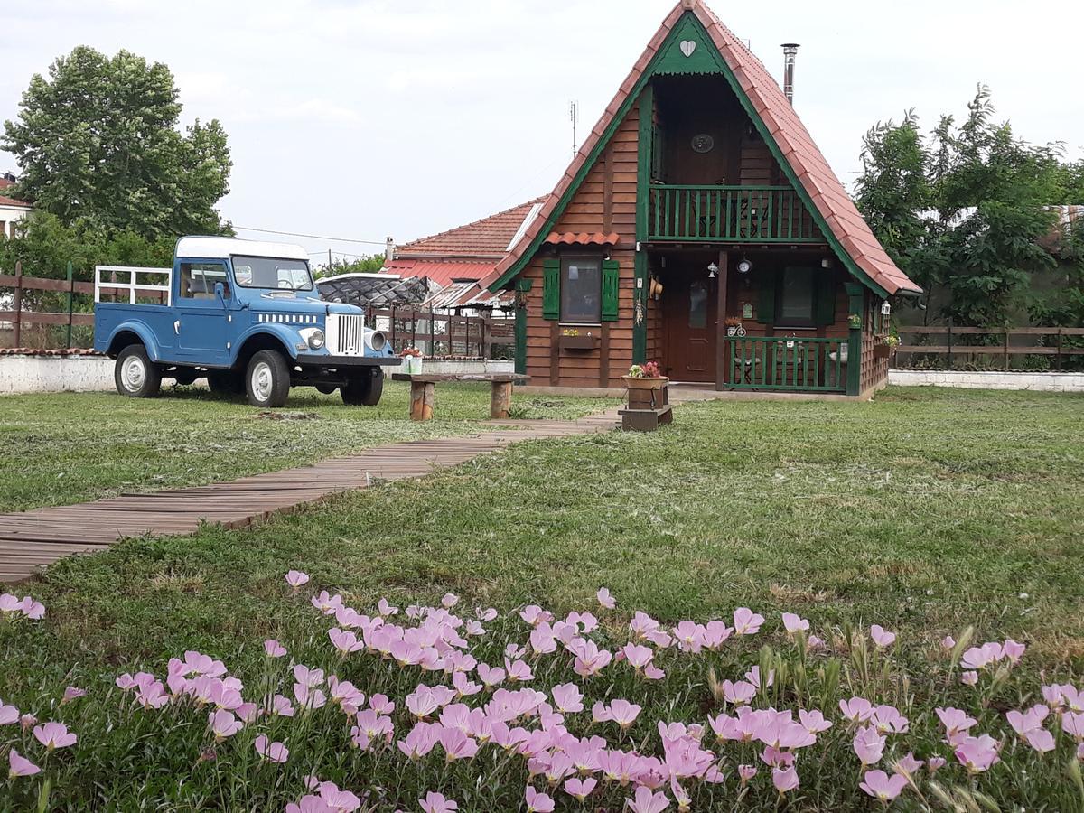Traditional Guesthouse Tríkala Zewnętrze zdjęcie
